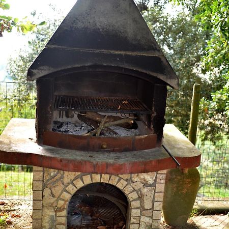 Agriturismo Podere Biancospino Piscina Privata Chianciano Terme Eksteriør bilde