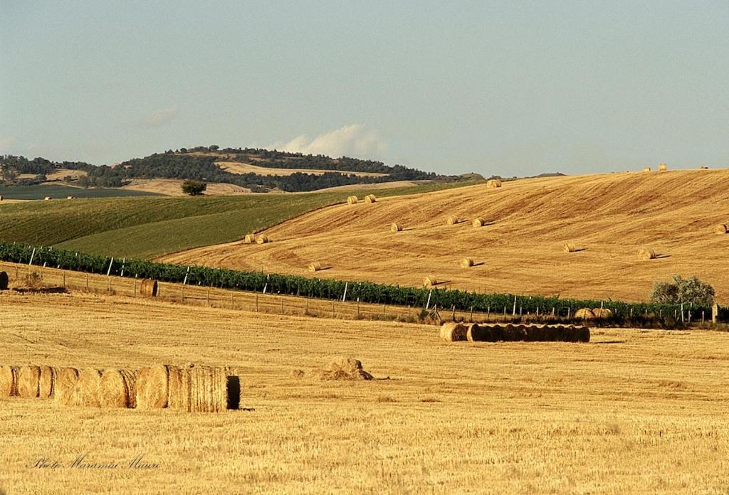 Agriturismo Podere Biancospino Piscina Privata Chianciano Terme Eksteriør bilde